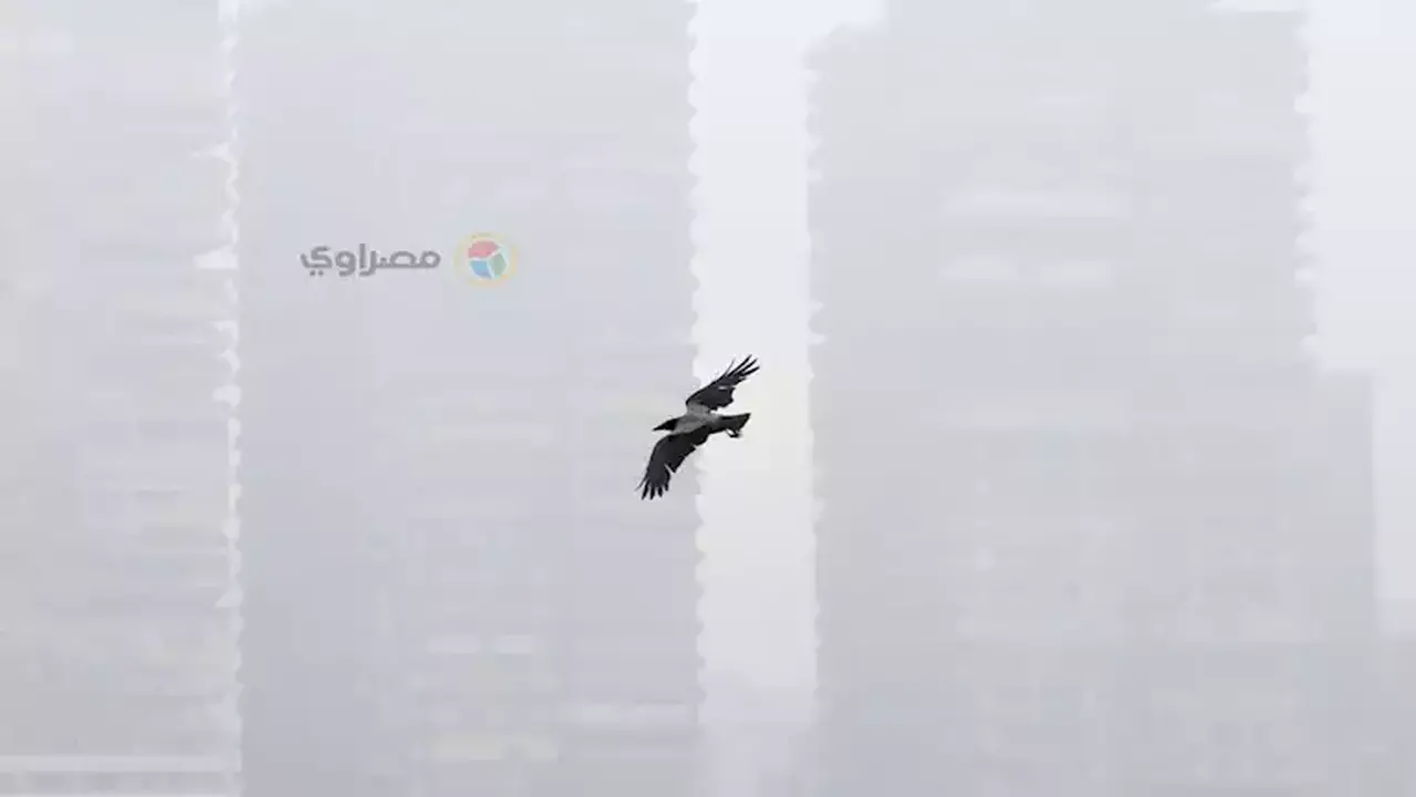 توقعات هيئة الأرصاد الجوية لحالة الطقس يوم الاثنين 16 مارس 2026